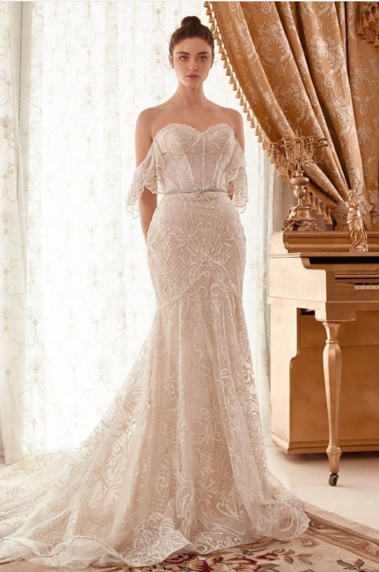 Geneveive Lace with Clear sequins glitter  Mermaid Bridal Gown with dropped sleeves - Off White/Nude